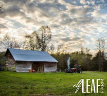 Load image into Gallery viewer, Photography Session (One Hour)