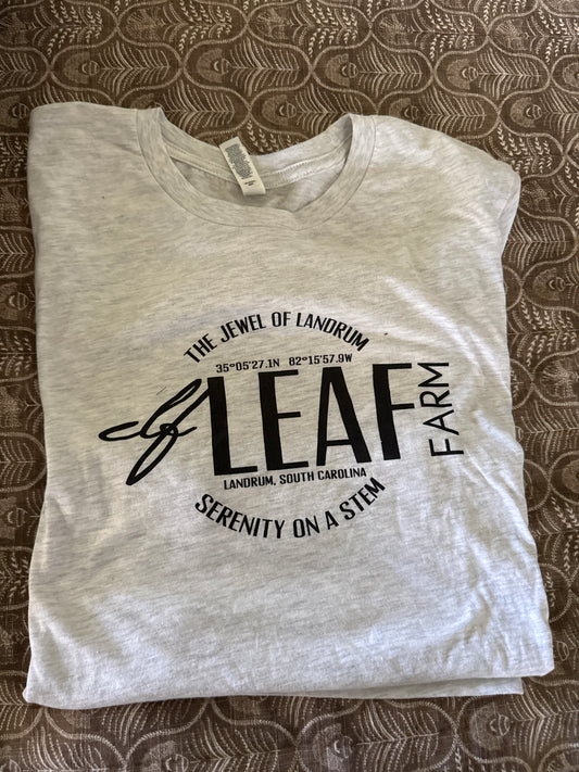 Short Sleeved Gray Tee Shirt with "Jewel of Landrum"