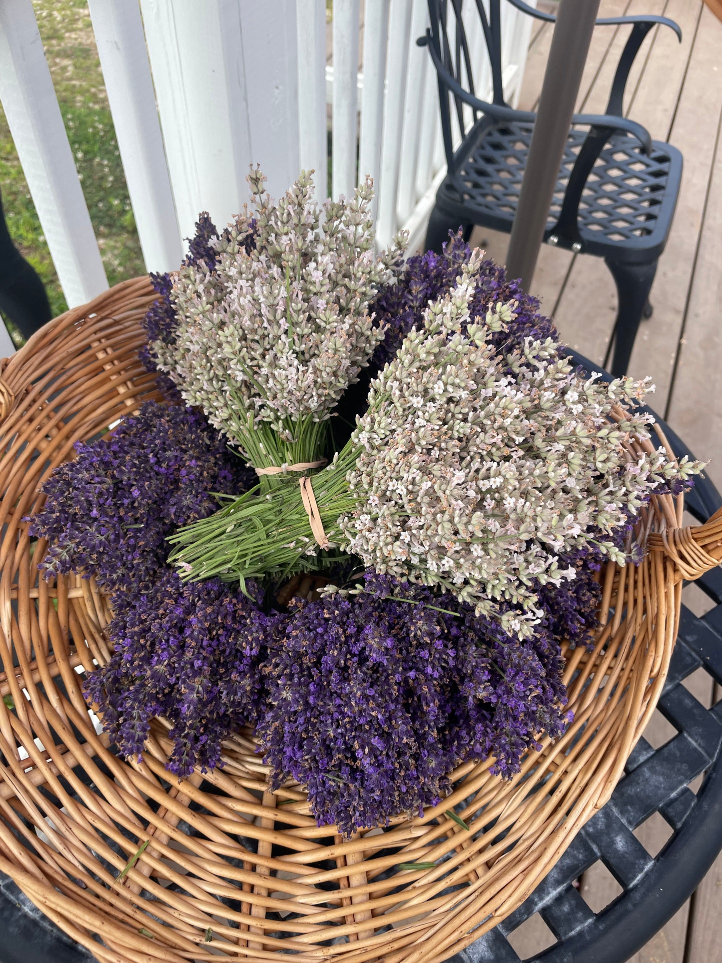 Pre Picked/ Dried Bundle