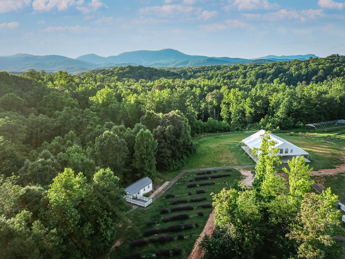 An aerial photo of Elf Leaf Farm lavender fields and event tent. 