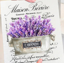 Load image into Gallery viewer, Swedish Dish Cloths

